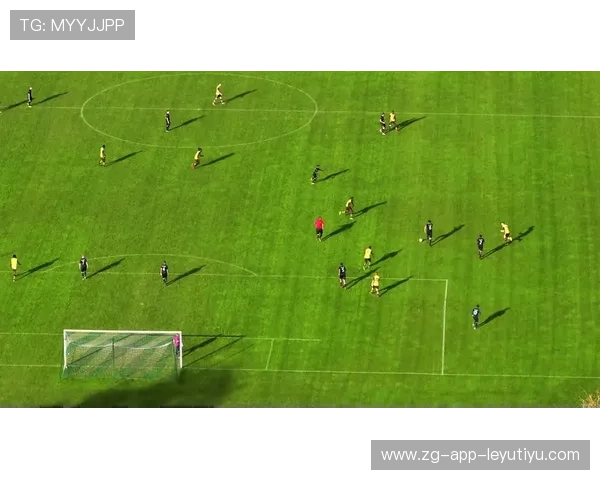 迷你足球趣味比赛，家庭欢聚好时光，迷你足球门